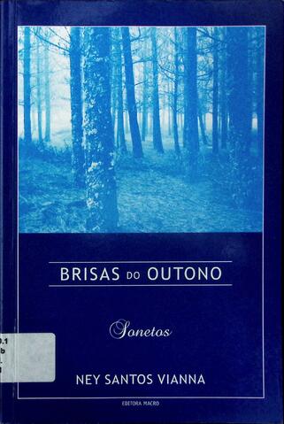 Original 数字对象 not accessible